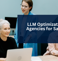 LLM Optimization Agencies