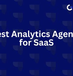 Analytics Agencies for SaaS