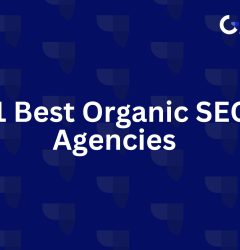 Organic SEO Agencies