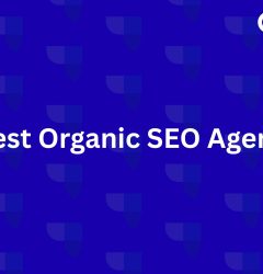 Best Organic SEO Agencies