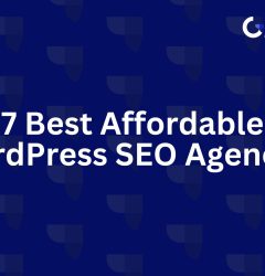 Affordable Wordpress SEO Agencies