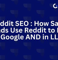 Reddit SEO
