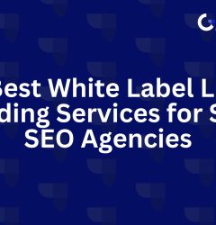 White label link building services for Saas