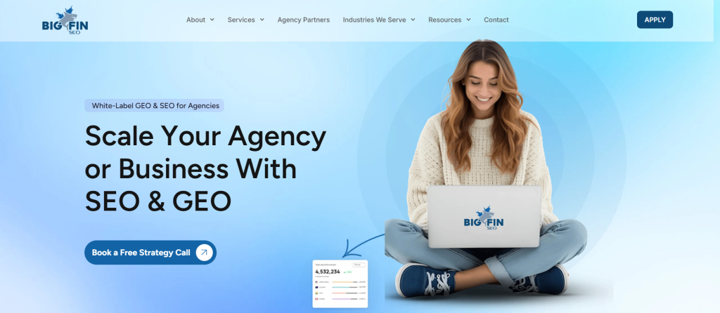 Big Fin SEO